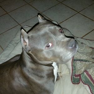 Meet your Posher, Shellie